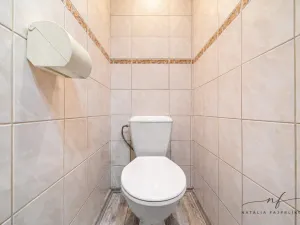 Prodej bytu 2+1, Chodov, Vítězná, 54 m2