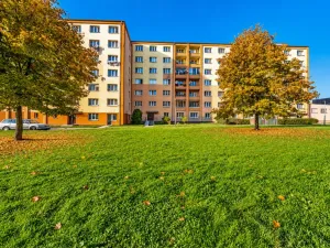 Prodej bytu 2+1, Chodov, Vítězná, 54 m2