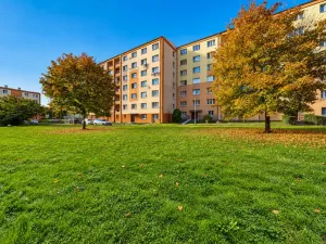 Prodej bytu 2+1, Chodov, Vítězná, 54 m2