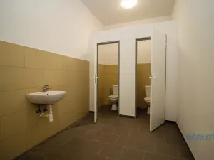 Pronájem výrobních prostor, Brandýs nad Labem-Stará Boleslav, Pražská, 440 m2