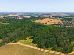 Prodej lesa, Jeviněves, 2859 m2