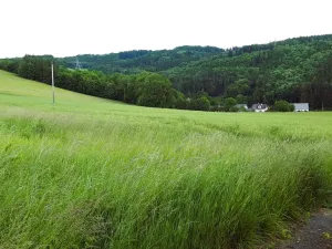 Prodej pozemku pro bydlení, Oskava, 1250 m2