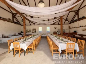 Prodej komerční nemovitosti, Borovy, 500 m2