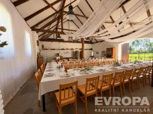Prodej komerční nemovitosti, Borovy, 500 m2