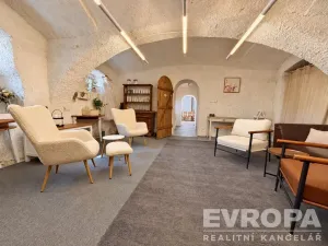 Prodej komerční nemovitosti, Borovy, 500 m2
