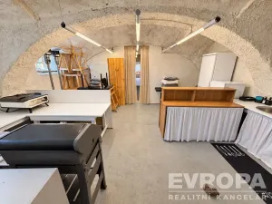 Prodej komerční nemovitosti, Borovy, 500 m2
