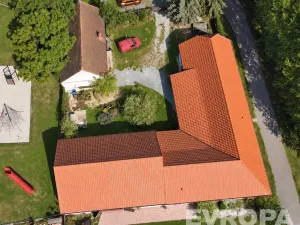 Prodej komerční nemovitosti, Borovy, 500 m2
