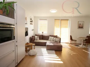 Pronájem bytu 1+kk, Plzeň - Jižní Předměstí, Inženýrská, 50 m2