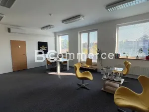 Pronájem skladu, Šlapanice, 4600 m2