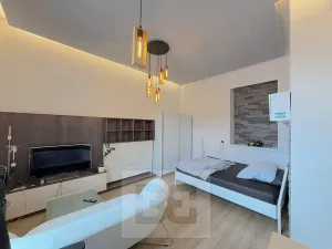 Pronájem bytu 1+1, Praha - Žižkov, Chelčického, 40 m2