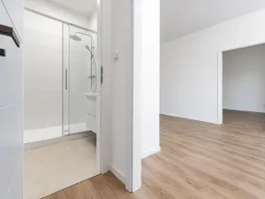 Prodej bytu 2+kk, Praha - Vinohrady, Hollarovo náměstí, 43 m2