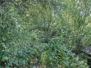 Prodej pozemku pro bydlení, Statenice, Nad Strání, 924 m2