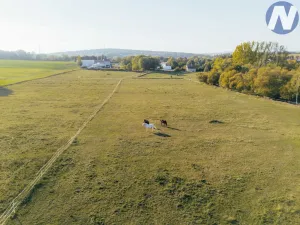 Prodej zemědělského objektu, Stříbro - Lhota u Stříbra, 200 m2