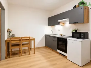 Pronájem bytu 1+kk, Brno, Francouzská, 31 m2