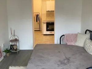 Pronájem bytu 1+1, Litoměřice, Šaldova, 37 m2