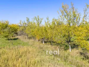 Prodej zahrady, Vnorovy, 1388 m2