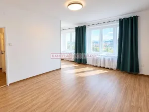 Pronájem bytu 1+kk, Praha - Nusle, Boleslavova, 35 m2