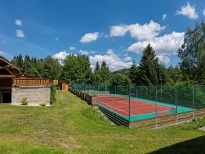 Prodej louky, Bartošovice v Orlických horách, 44000 m2