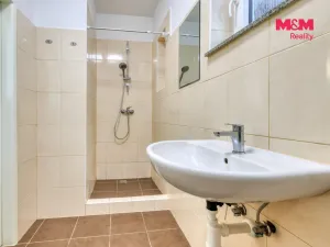 Prodej bytu 2+kk, Písek - Budějovické Předměstí, Na Houpačkách, 70 m2