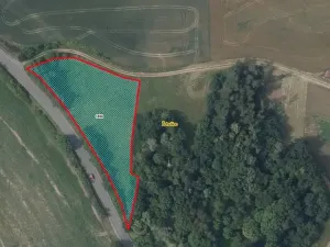 Prodej louky, Žehušice, 3914 m2