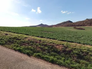 Prodej pole, Podsedice, 18068 m2