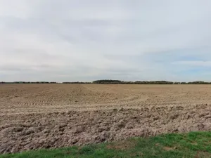 Prodej pole, Žleby, 2099 m2
