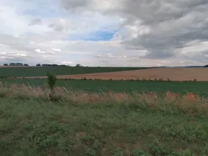 Prodej pole, Opava, 5092 m2