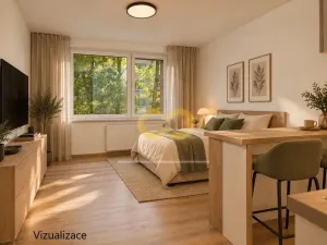 Prodej bytu 1+kk, Prachatice, nám. Přátelství, 40 m2