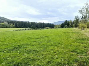 Prodej pozemku pro bydlení, Písek, 1631 m2