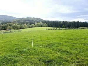 Prodej pozemku pro bydlení, Písek, 1631 m2