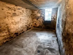 Prodej komerční nemovitosti, Varnsdorf, Čelakovická, 250 m2