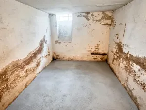 Prodej komerční nemovitosti, Varnsdorf, Čelakovická, 250 m2
