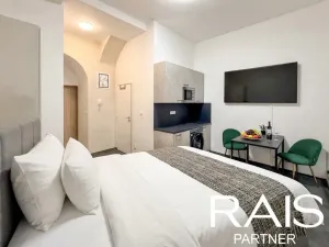 Pronájem bytu 1+kk, Brno - Brno-město, Bašty, 33 m2
