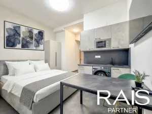Pronájem bytu 1+kk, Brno - Brno-město, Bašty, 33 m2