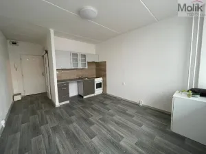 Prodej bytu 1+kk, Most, M. G. Dobnera, 21 m2