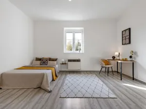 Prodej bytu 1+1, Praha - Žižkov, Pod lipami, 44 m2