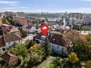 Prodej bytu 1+1, Praha - Žižkov, Pod lipami, 44 m2