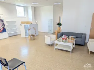 Pronájem komerční nemovitosti, Jihlava, Březinova, 97 m2