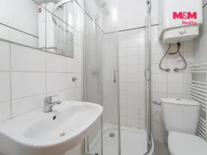 Prodej, Praha - Nusle, Krokova, 17 m2