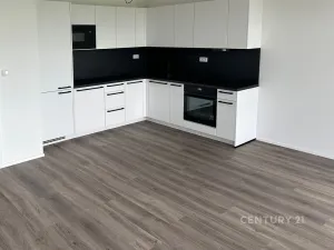 Pronájem bytu 2+kk, Plzeň, Františka Kováříka, 61 m2