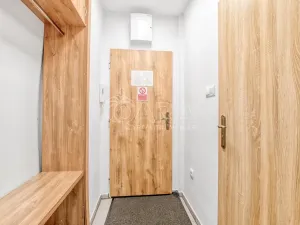 Pronájem bytu 1+kk, Trojanovice, 32 m2