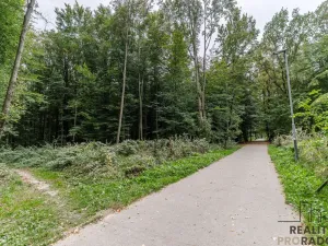 Prodej bytu 2+1, Ostrava - Zábřeh, Svazácká, 54 m2