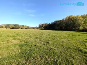 Prodej pozemku, Nepomuk, 10061 m2