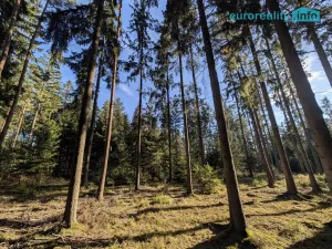 Prodej pozemku, Nepomuk, 10061 m2