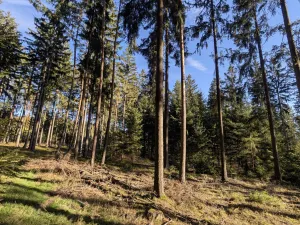 Prodej pozemku, Nepomuk, 10061 m2