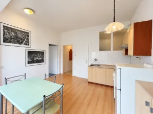 Pronájem bytu 1+1, Olomouc, Dukelská, 45 m2