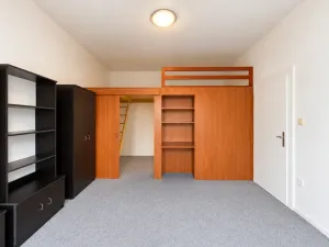 Pronájem bytu 1+1, Olomouc, Dukelská, 45 m2
