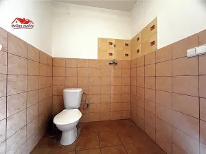 Prodej obchodního prostoru, Libušín, Přemyslova, 46 m2
