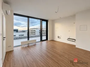 Prodej bytu 2+kk, Plzeň - Jižní Předměstí, Železná, 103 m2