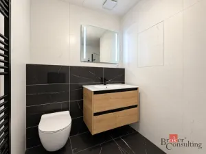 Prodej bytu 2+kk, Plzeň - Jižní Předměstí, Železná, 103 m2